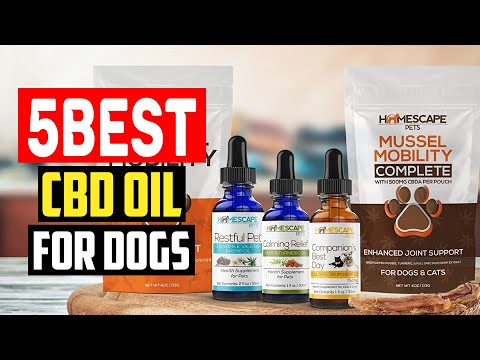 Top 5 Best CBD Oil for Dogs in 2023