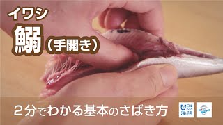 鰯（いわし）のさばき方：手開き - How to filet Sardine by hand -｜日本さばけるプロジェクト（海と日本プロジェクト）