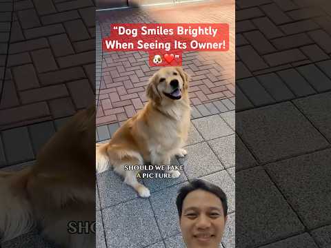 🎥 Funny Moments: Watch a Moody Dog Turn Happy! 😂🐕