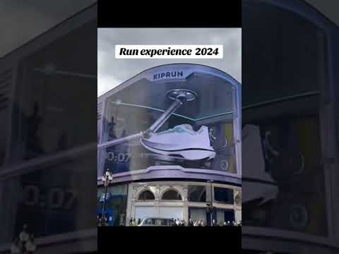 Run experience 2024