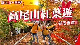 東京高尾山紅葉1日遊🍁新宿直達｜超驚喜!! 見到富士山&日落絕景✨feat. BASE FOOD (2022年11月12日) #日本旅遊 #東京 #高尾山