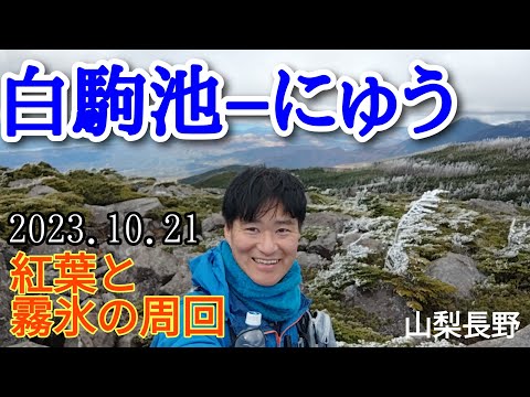 白駒池−にゅう  紅葉と霧氷の周回