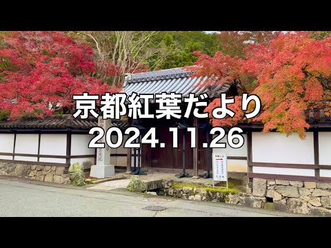 【11/26京都紅葉】嵐山・永観堂・南禅寺・東福寺