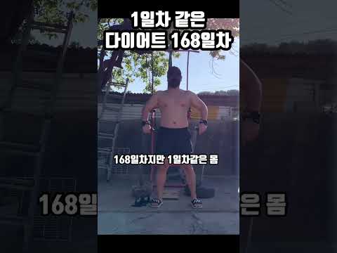 다이어트 1일차같은 168일차 죽어