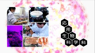 190031　宮崎大学農学部紹介　応用生物科学科〈2019年8月改訂〉