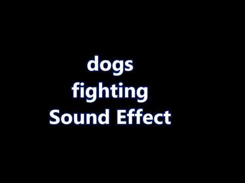 dogs fighting Sound Effect