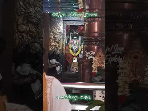 சஷ்டி | Chennai  Thiruchendur Murugan Temple | தமிழ் கடவுள் முருகன்