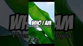 Slow Remix Who I Am #djslowbasssantai #djjedagjedug #djslowenak