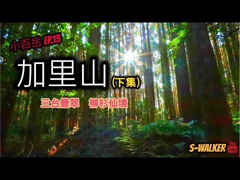 S小百岳｜苗栗｜加里山(下集)｜三台疊翠柳杉仙境｜南庄鄉