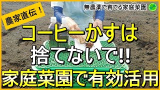 【コーヒーかす】雑草対策など家庭菜園で役立つコーヒーかす活用法4つ【有機農家直伝！無農薬で育てる家庭菜園】　23/8/22