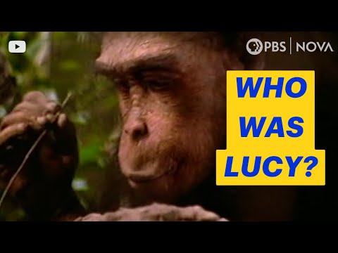 What Lucy Taught Us About Ourselves | NOVA | PBS