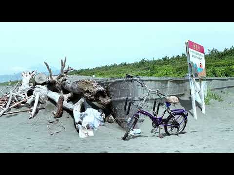 神奈川県平塚市のビーチを勝手にプロモーション！隠れた魅力をお届けします🌊🏖️