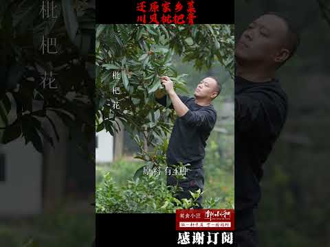 传统「枇杷膏」的做法你清楚吗？用的是枇杷还是枇杷叶，看了这支视频就懂啦！ #shorts