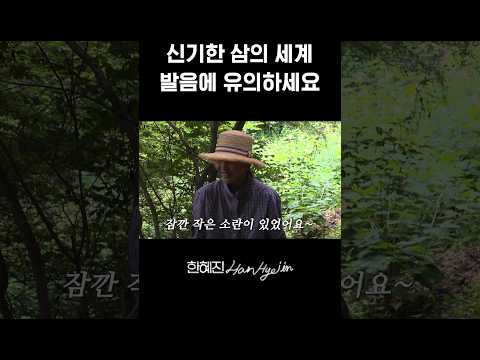 솔직히 헷갈릴만 하잖아요 #한혜진 #힐링 #shorts