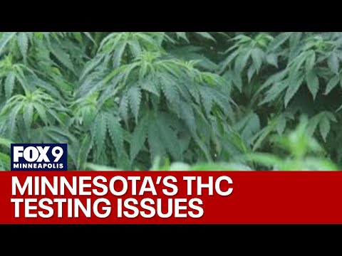 THC testing in MN confirms varying levels of accuracy