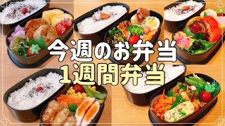 【1週間のお弁当】今週のお弁当作り/旦那弁当5日間