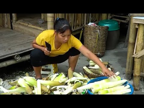 Harvest bamboo shoots and how to process them to make chili bamboo shoots to sell at the market.