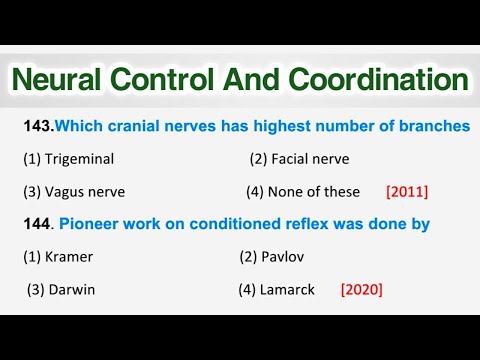 Neural Control and Coordination MCQ || Class 11 One Shot || Most Important for NEET 2023