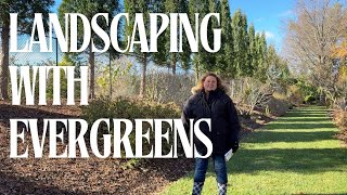 Evergreens at the Proven Winners ColorChoice Shrubs Trial Garden