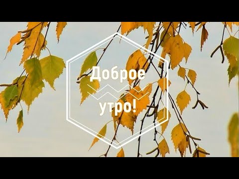 Доброе утро! С Добрым утром! Хорошего утра и настроения! Утро Красота Пение Птица