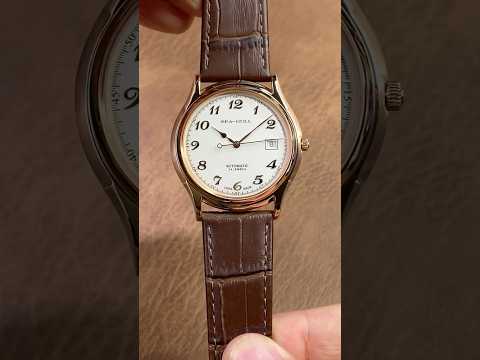 Sea-Gull Dress Watch. 39x9 mm. Enamel Dial. ST18. Ref. 519.13.1076  海鸥正装表1076 (抖音视频@ 海鸥表手表旗舰店)