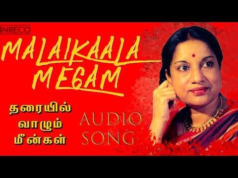 Mazhaikkala Megam | Romantic Duet | Vani Jairam, Chandra Bose | Tharayil Vaazhum Meengal Tamil Film