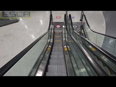 Korea Shopping Mall GARDEN5 Escalator 1F-B1 HYUNDAI