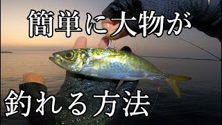 【泳がせ釣り】簡単に大物を釣るにはこれです。