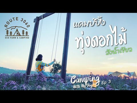 Camping กางเต้นท์ Route 3060 วังน้ำเขียว