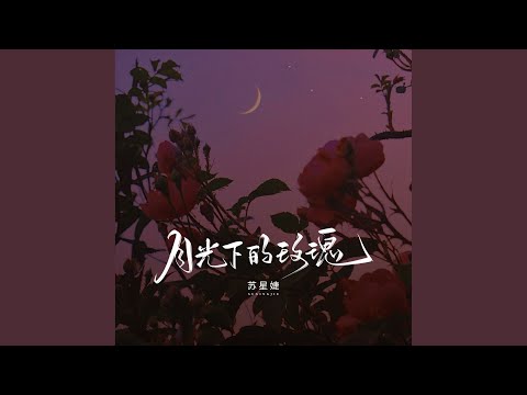 月光下的玫瑰 (校园广播版)