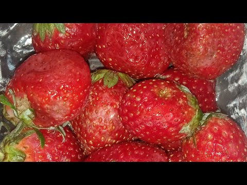 || Homemade Strawberry jam recipe in telugu||strawberry jam @SnigdaVantalu