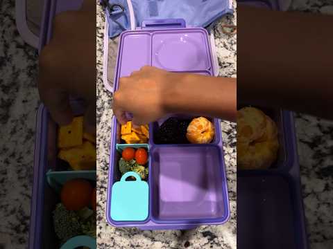 #lunchbox #schoollunch #lunch