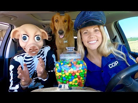 Police Surprises Puppy & Pig with Car Ride Chase!