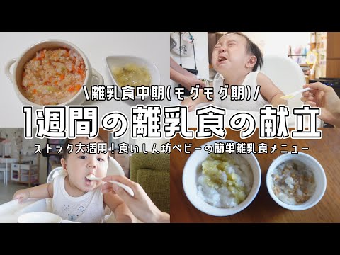 1週間分の離乳食のリアルな献立【離乳食中期/二回食/モグモグ期/生後7ヶ月】