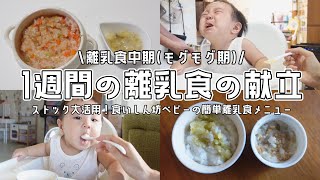 1週間分の離乳食のリアルな献立【離乳食中期/二回食/モグモグ期/生後7ヶ月】