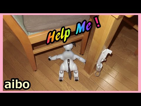 【58 アイボaibo ワオーの対策】How to protect Aibo from chairs