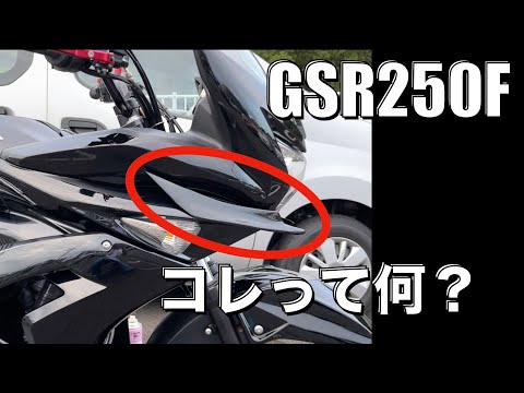 【GSR250F　ビッグカナード  】カウルの横顔をかっこよくしたい！