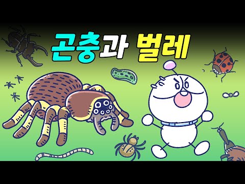 곤충과 벌레는 무슨 차이가 있나요?