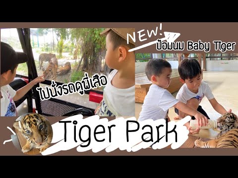 VLOG 8 - Tiger Park, Pattaya || familytchannel