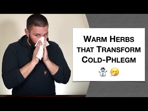 🌿 Herbology 2 Review - Warm Herbs that Transform Cold-Phlegm (Extended Live Lecture)