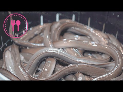 Japanese food/Continuous eel cutting skill of artisan