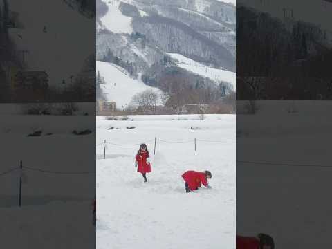 雪地露營/Camping in the snow#露营#雪地#日本#白马村#Camping#snow