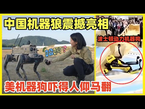 中国顶级无人巷战杀器“机器狼”亮相！美国机器狗出丑站不稳栽跟头！老美造假骗钱，中国已实打实量产上前线！沙特见到机器狼欣喜若狂，台军见到如丧考妣！不是天天叫嚣发展不对称武器么，这不来了么！