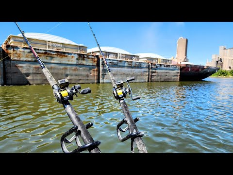 MONSTER FISH Live Under BARGES!! (River Fishing)