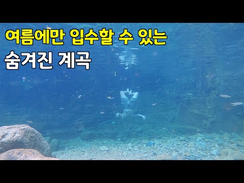 [수심 깊음, 2.5M]  산 속에 숨겨져 있는 계곡 - 2021년 계곡 소개 끝, Valley hidden in the mountains