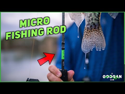 The Perfect MICRO Light Fishing ROD for MULTI SPECIES! ( Fishing Tips )