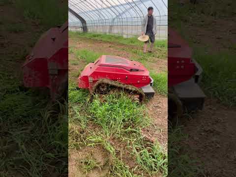 remote control lawn mower.Solve high-temperature work.#remote control lawn mower#agricultural