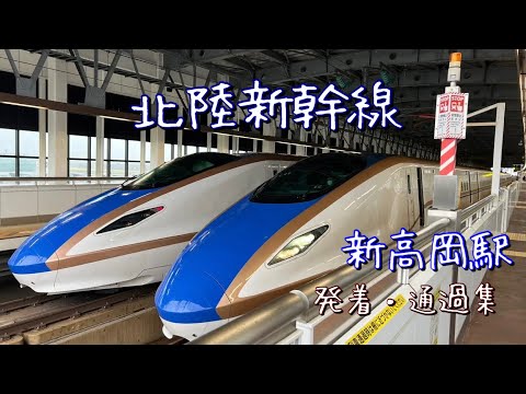 新高岡駅を発着・通過する北陸新幹線。かがやき号が高速通過！！