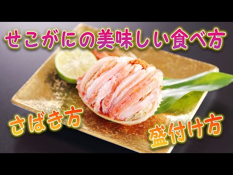 せこがにのさばき方・香箱盛り【かに本舗】