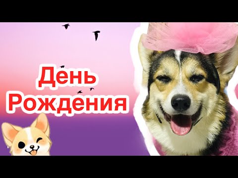 ДЕНЬ РОЖДЕНИЯ - ГРУСТНЫЙ ПРАЗДНИК